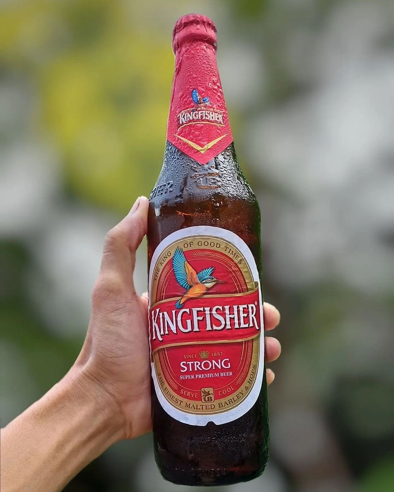 KINGFISHER (INDIAN BEER)